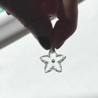 SEA STAR pendant